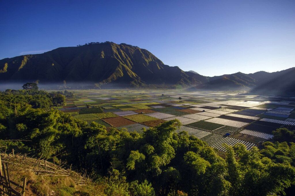 Sembalun Village - Lombok.com